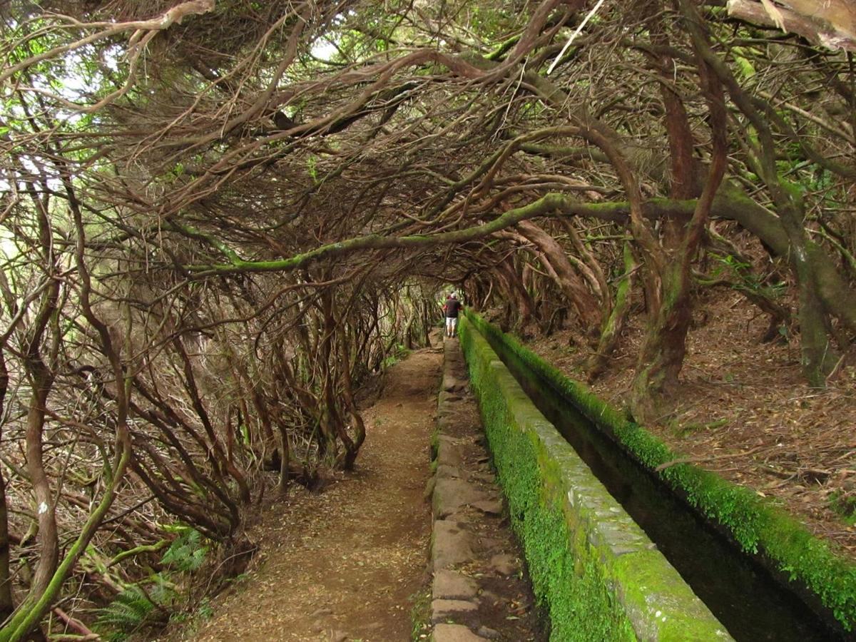 Beautiful View 1 - Arco Da Calheta - Ilha Da Madeira 아파트 외부 사진